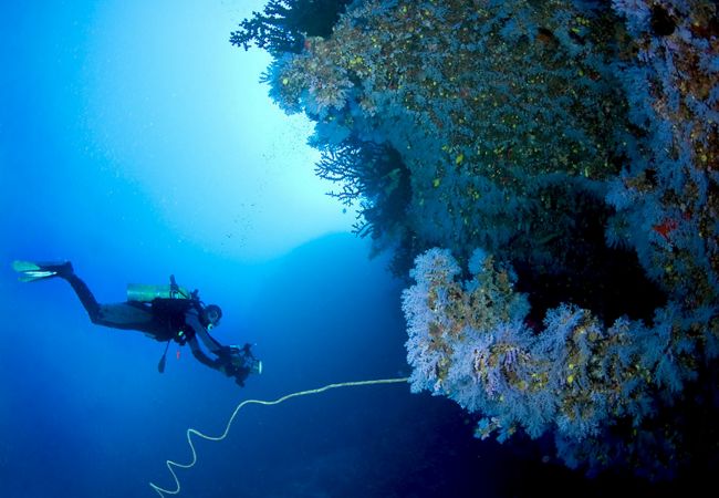 Villa en Ametlla de Mar - Villa Esperanza Villa en Ametlla de Mar - Villa Esperanza