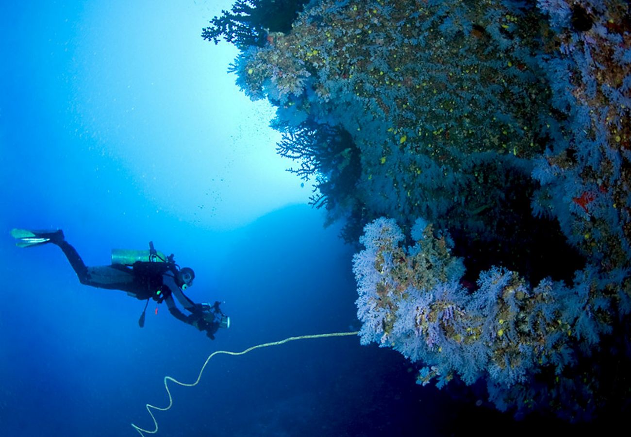 Villa en Ametlla de Mar - Villa Catalina Villa en Ametlla de Mar - Villa Catalina