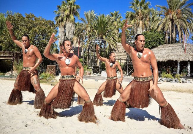 Villa in Ametlla de Mar - Villa Tranquila Villa in Ametlla de Mar - Villa Tranquila