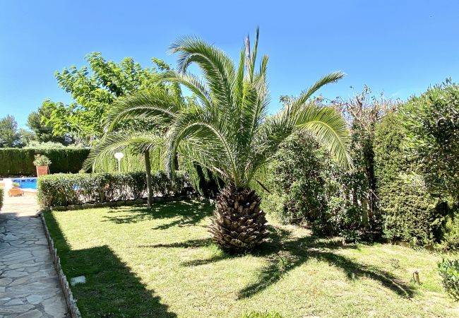 Villa in Ametlla de Mar - Villa Leonore Villa in Ametlla de Mar - Villa Leonore