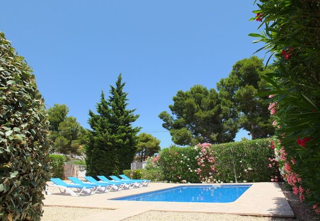 Villa in Ametlla de Mar - Villa Melaza Villa in Ametlla de Mar - Villa Melaza