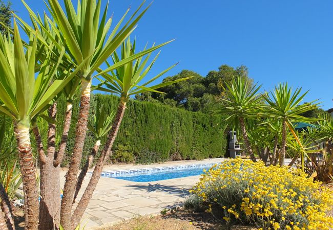 Villa in Ametlla de Mar - Villa Mila Villa in Ametlla de Mar - Villa Mila