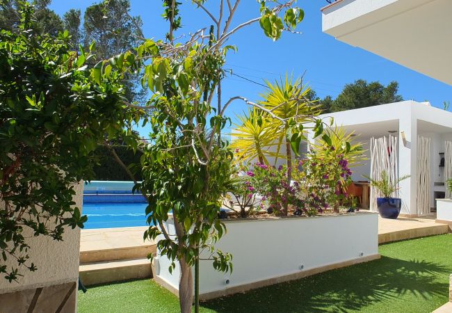 Villa in Ametlla de Mar - Villa Mimosa Villa in Ametlla de Mar - Villa Mimosa