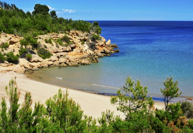 Villa in Ametlla de Mar - Villa Mimosa Villa in Ametlla de Mar - Villa Mimosa