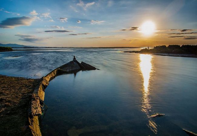 Villa in Ametlla de Mar - Villa Mimosa Villa in Ametlla de Mar - Villa Mimosa