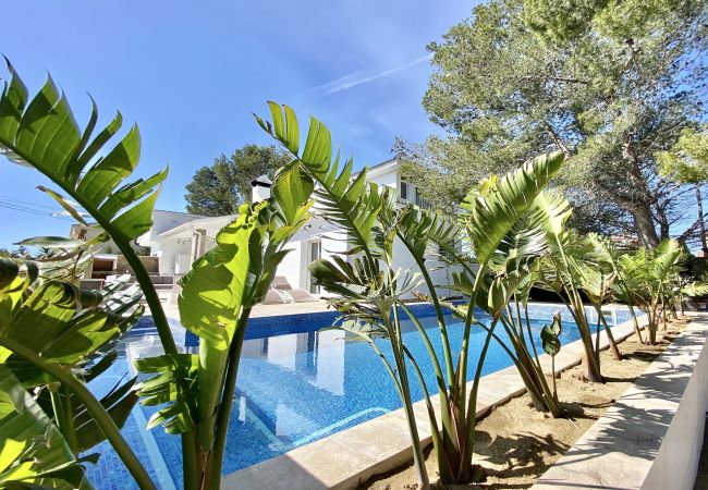 Villa in Ametlla de Mar - Villa Bouganvilla Villa in Ametlla de Mar - Villa Bouganvilla