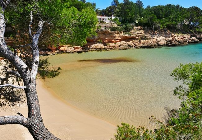 Villa in Ametlla de Mar - Villa Bouganvilla Villa in Ametlla de Mar - Villa Bouganvilla