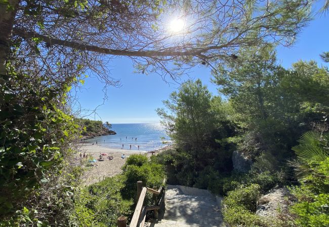 Villa in Ametlla de Mar - Villa Bouganvilla Villa in Ametlla de Mar - Villa Bouganvilla