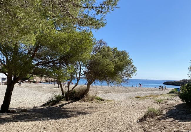 Villa in Ametlla de Mar - Villa Bouganvilla Villa in Ametlla de Mar - Villa Bouganvilla