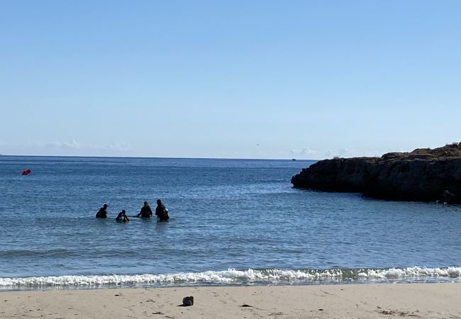 Villa in Ametlla de Mar - Villa Bouganvilla Villa in Ametlla de Mar - Villa Bouganvilla