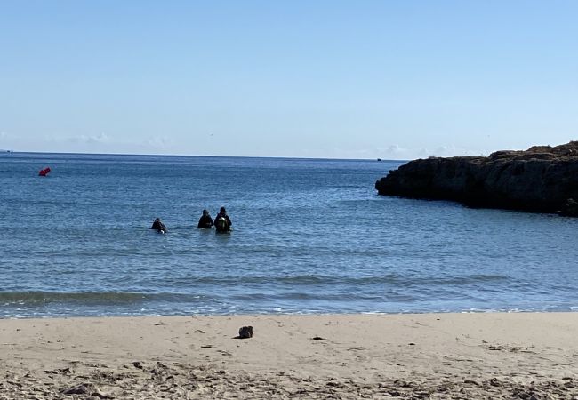 Villa in Ametlla de Mar - Villa Bouganvilla Villa in Ametlla de Mar - Villa Bouganvilla