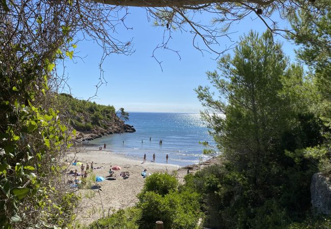 Villa in Ametlla de Mar - Villa Bouganvilla Villa in Ametlla de Mar - Villa Bouganvilla