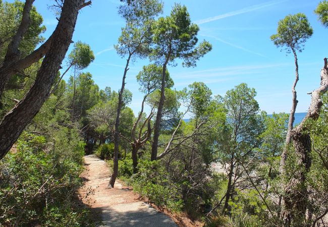 Villa in Ametlla de Mar - Villa Libelula Villa in Ametlla de Mar - Villa Libelula