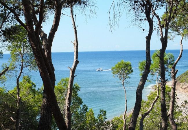 Villa in Ametlla de Mar - Villa Libelula Villa in Ametlla de Mar - Villa Libelula