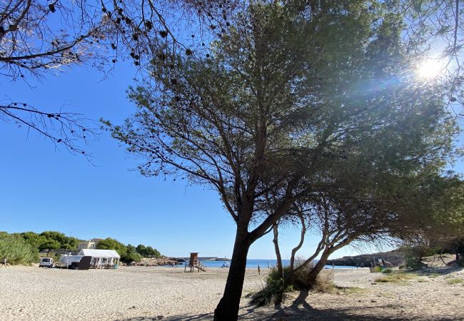 Villa in Ametlla de Mar - Villa Libelula Villa in Ametlla de Mar - Villa Libelula