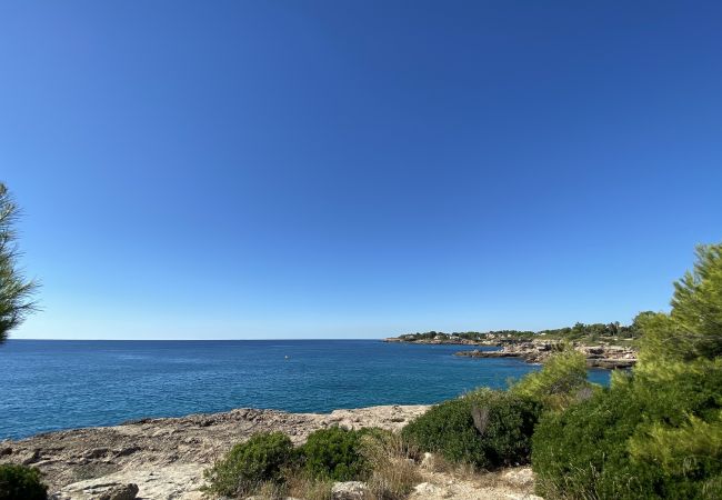 Villa in Ametlla de Mar - Villa Libelula Villa in Ametlla de Mar - Villa Libelula