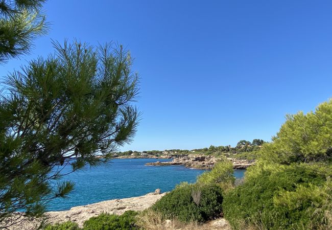 Villa in Ametlla de Mar - Villa Libelula Villa in Ametlla de Mar - Villa Libelula