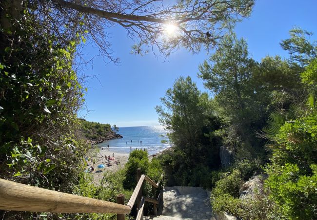 Villa in Ametlla de Mar - Villa Libelula Villa in Ametlla de Mar - Villa Libelula