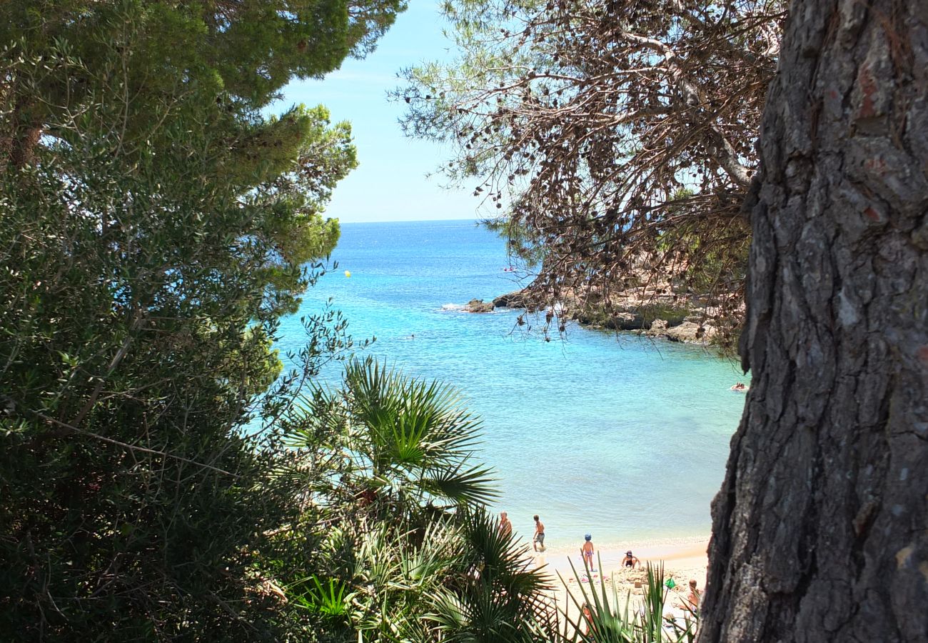 Villa in Ametlla de Mar - Villa Libelula Villa in Ametlla de Mar - Villa Libelula