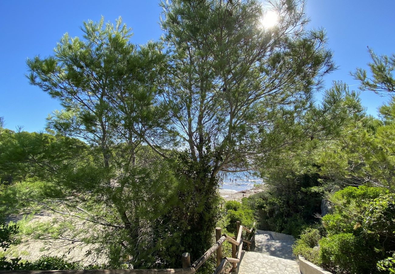 Villa in Ametlla de Mar - Villa Libelula Villa in Ametlla de Mar - Villa Libelula