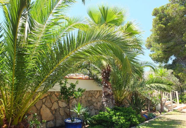 Villa in Ametlla de Mar - Villa Preciosa Villa in Ametlla de Mar - Villa Preciosa