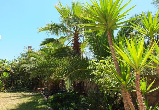 Villa in Ametlla de Mar - Villa Preciosa Villa in Ametlla de Mar - Villa Preciosa