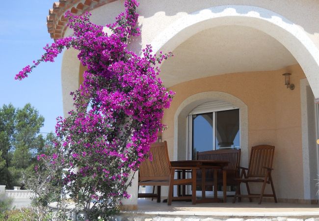 Villa in Ametlla de Mar - Villa Oasis Villa in Ametlla de Mar - Villa Oasis