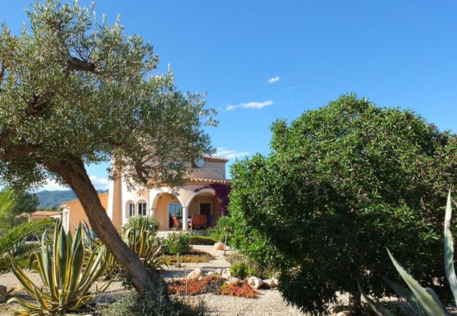 Villa in Ametlla de Mar - Villa Oasis Villa in Ametlla de Mar - Villa Oasis