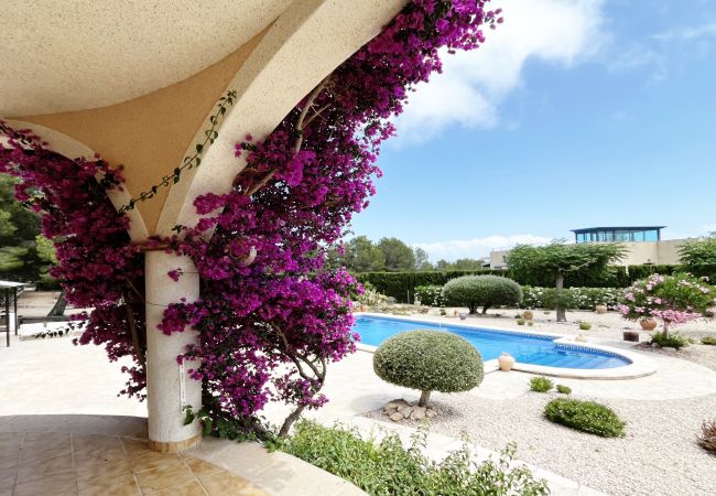 Villa in Ametlla de Mar - Villa Oasis Villa in Ametlla de Mar - Villa Oasis