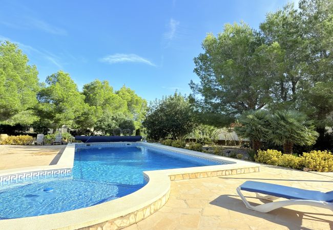 Villa in Ametlla de Mar - Villa family with large private swimming pool Villa in Ametlla de Mar - Villa family with large private swimming pool