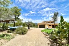Villa in Ametlla de Mar - Villa Violeta