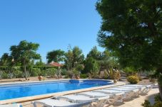 Villa in Ametlla de Mar - Villa Oasis